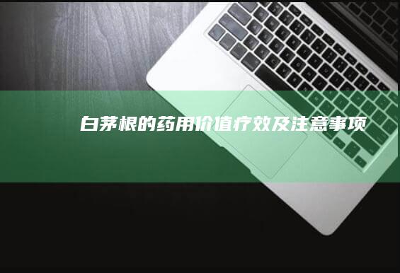 白茅根的药用价值、疗效及注意事项